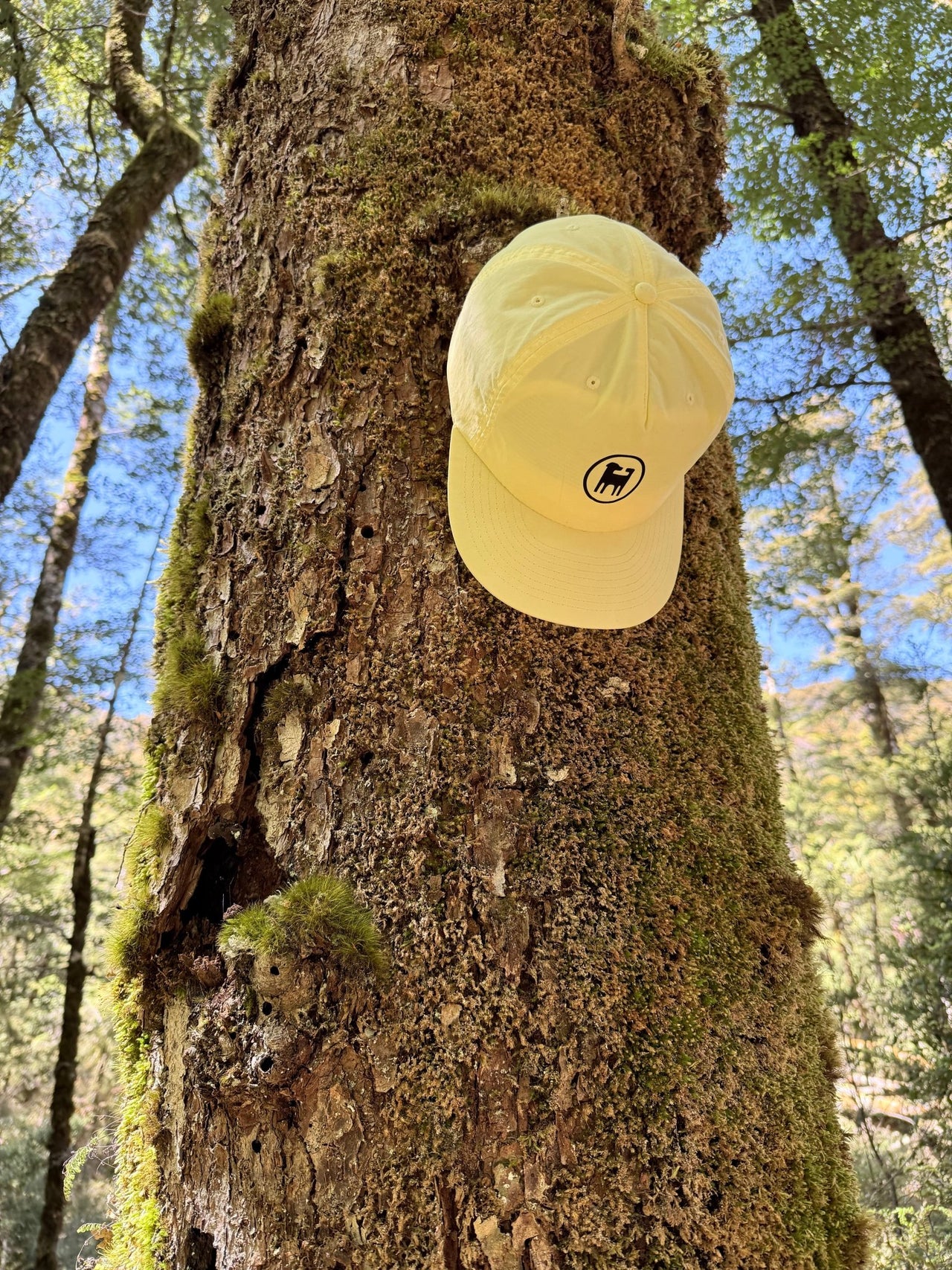 Flynny's Hat - Flynny's