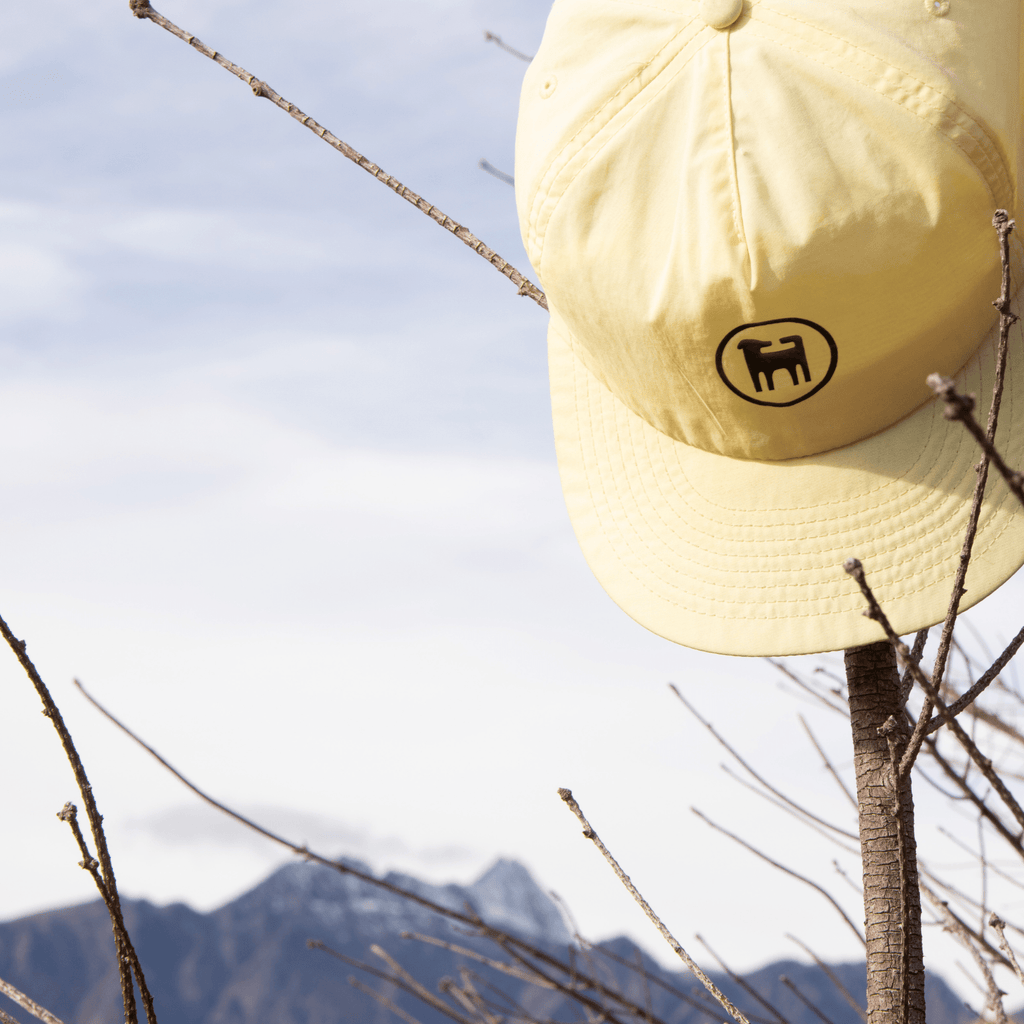 Flynny's Hat - Flynny's