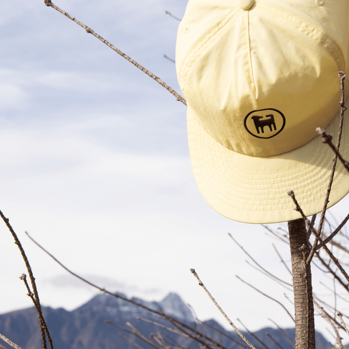 Flynny's Hat - Flynny's